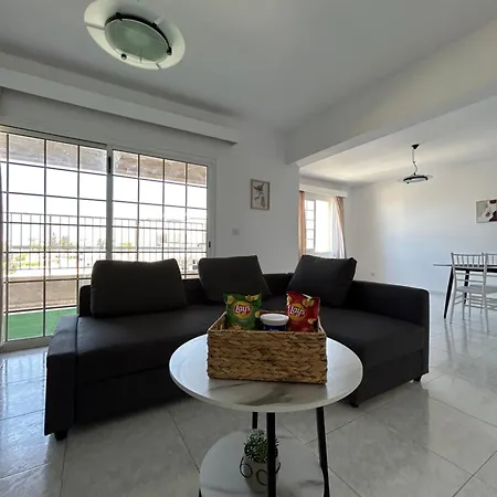 Modern Spacious Penthouse In